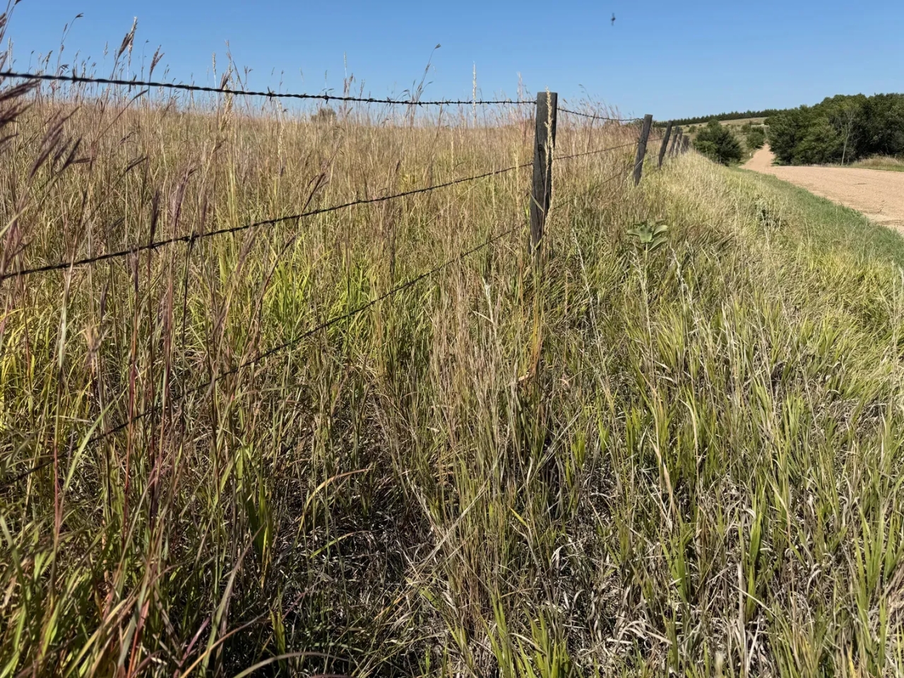 81.24 Acre Recreational Property Franklin County NE Hunting Land