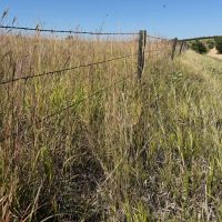 81.24 - Acre Recreational Property - Franklin County NE images 5