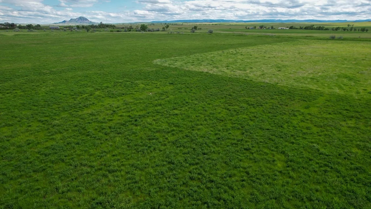 Bear Butte View Ranch Hunting Land for Sale