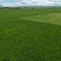 Bear Butte View Ranch images 2