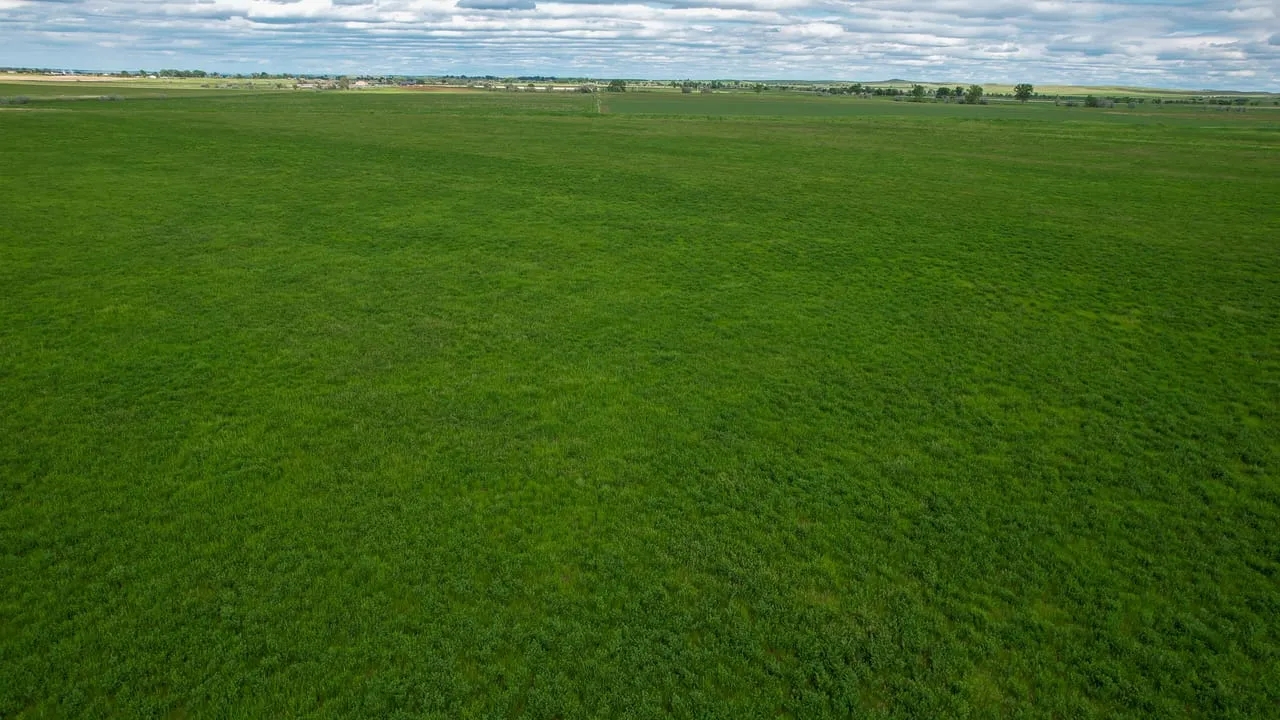 Bear Butte View Ranch Hunting Land for Sale