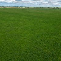 Bear Butte View Ranch images 3
