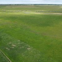 Bear Butte View Ranch images 5