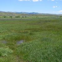 Cow Creek Grazing Ranch images 2