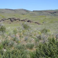 Cow Creek Grazing Ranch images 3