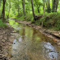 - 24.31 Acres on Sitton Hill Road in Easley SC images 3