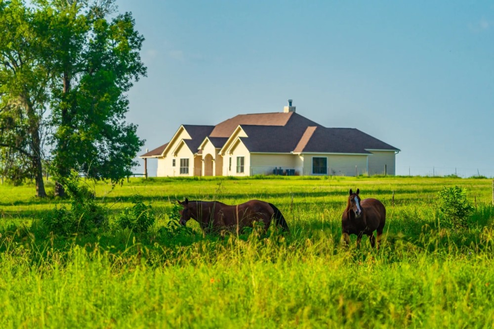 Dolen Ranch featured image