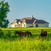 Dolen Ranch