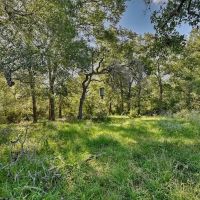 185 acres- County Road 134 Hallettsville TX Lavaca County