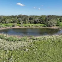 185 acres- County Road 134 Hallettsville TX Lavaca County images 3
