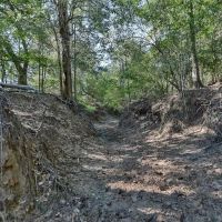 185 acres- County Road 134 Hallettsville TX Lavaca County images 4