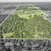 185 acres- County Road 134 Hallettsville TX Lavaca County images 5