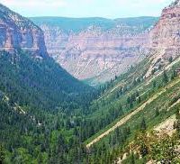 Roan Plateau - JQS Creek Cross 2,460 acres elk hunting land in Silt, CO images 2