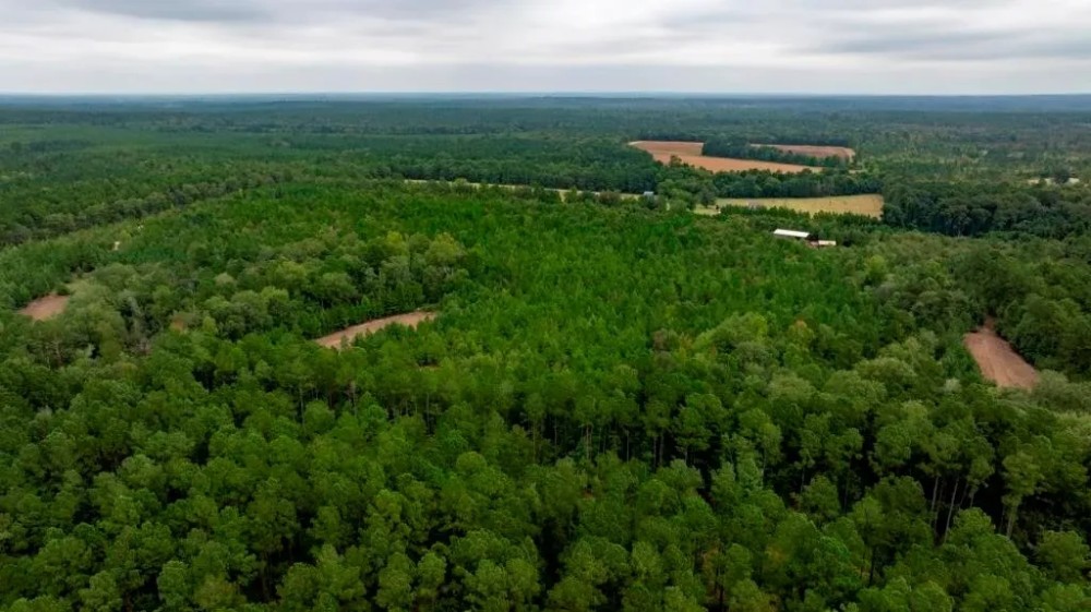 Temple Road Retreat Hunting Land for Sale