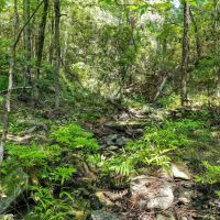 24.69 - Acres Waterfront Property Walker County TX images 4