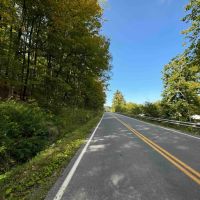 17 acres Wooded Hunting Land and Building Lot in Bath NY Harrison Road images 4