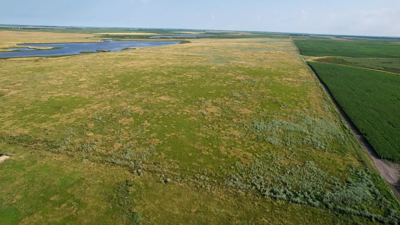 Faulk County 480 Hunting Land for Sale