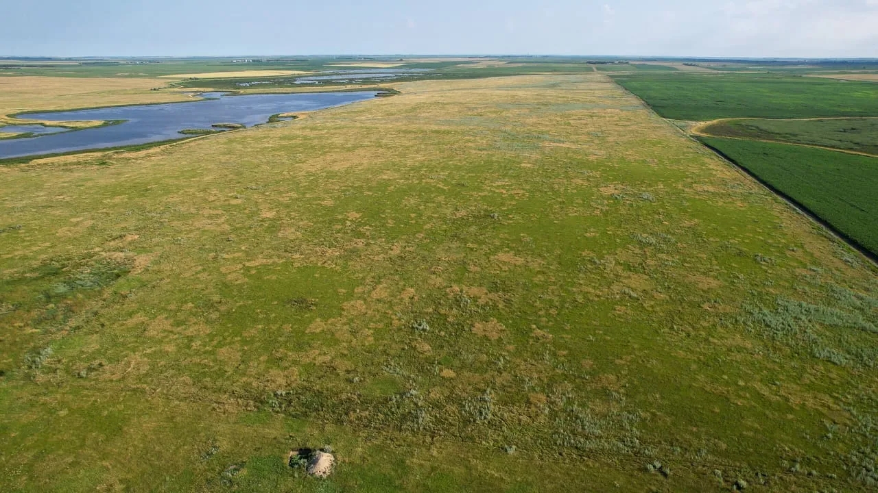 Faulk County 480 Hunting Land for Sale