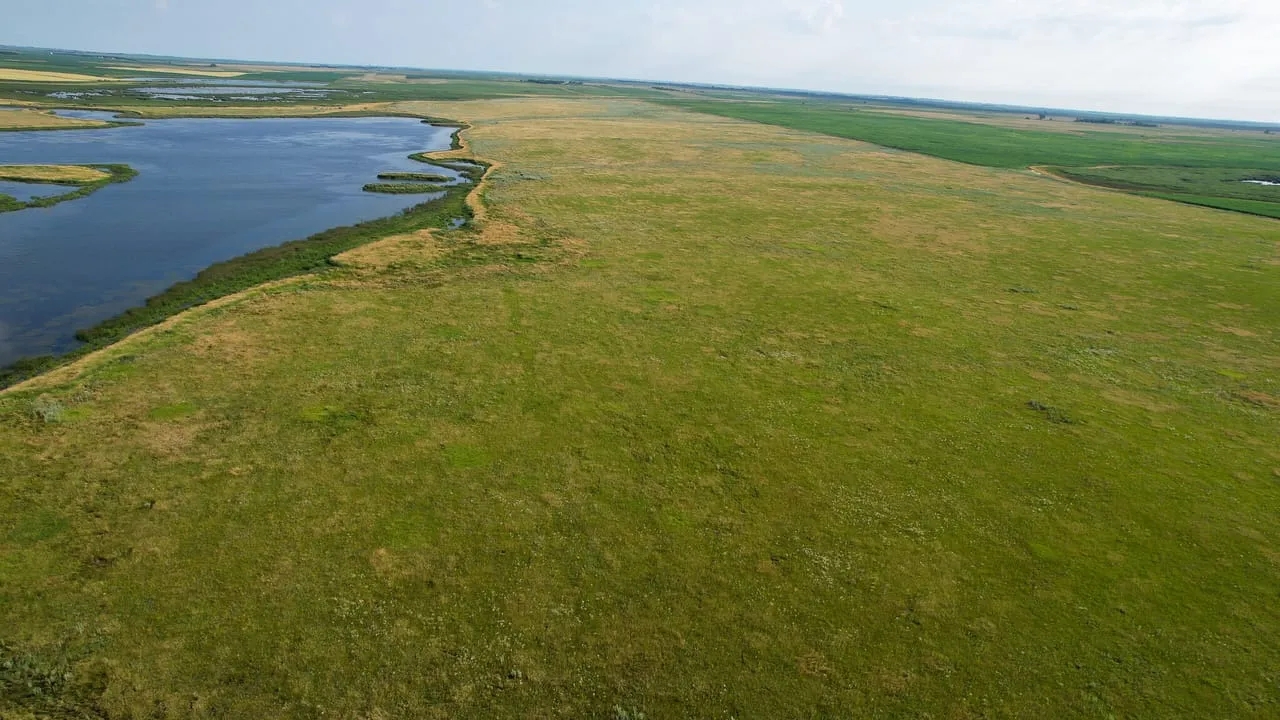 Faulk County 480 Hunting Land for Sale