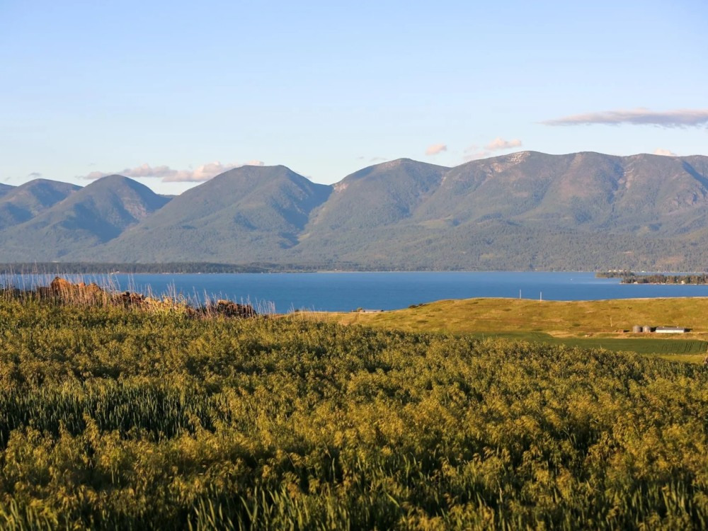 Flathead Overlook featured image
