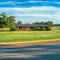 Red Branch Land Cattle images 5