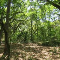 Moran s Prairie Hunting Recreation Tract images 5