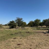 KS - Pratt 1315 acres -