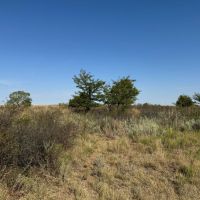 KS - Pratt 1315 acres - images 2