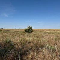 KS - Pratt 1315 acres - images 3