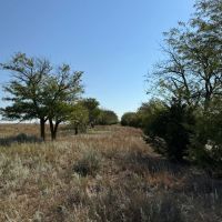 KS - Pratt 1315 acres - images 4