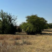 KS - Pratt 1315 acres - images 5