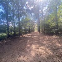 26 acres- Mature Timber- Salem School District images 2