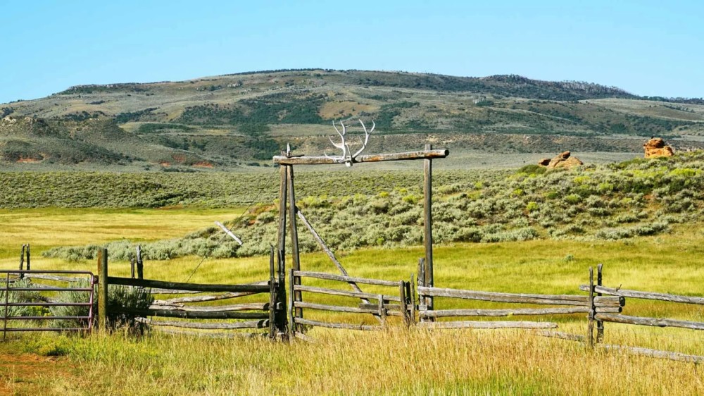 K Ranch featured image