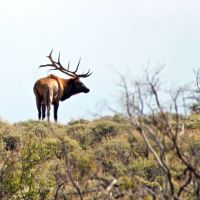 K Ranch images 3