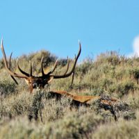 K Ranch images 5