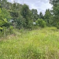 33.7 Acres in Scott County in Morton MS images 2