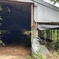 33.7 Acres in Scott County in Morton MS images 3
