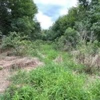 33.7 Acres in Scott County in Morton MS images 4