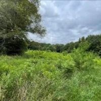 33.7 Acres in Scott County in Morton MS images 5