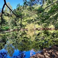 Pike County Country Home and Acreage for Sale -Summit MS images 2