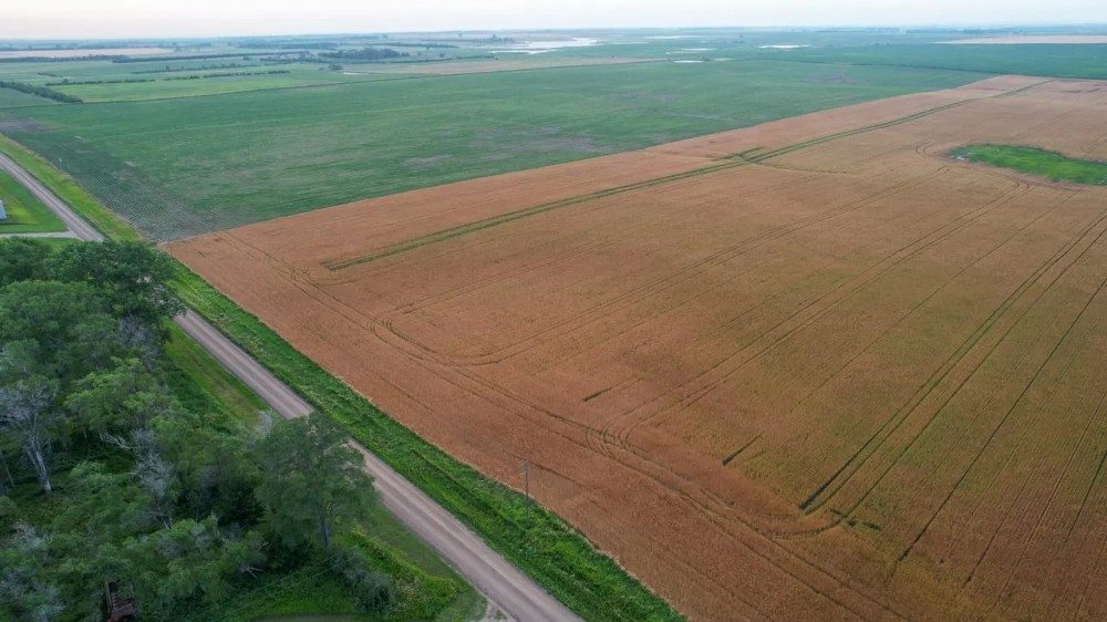 Charles Mix Farmland featured image