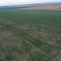 Charles Mix Farmland images 2