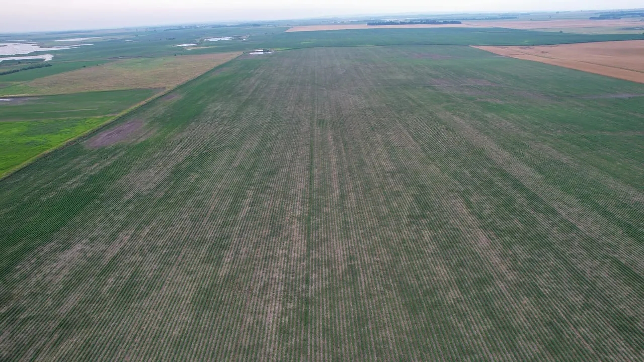 Charles Mix Farmland Hunting Land for Sale