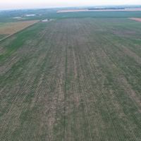 Charles Mix Farmland images 3