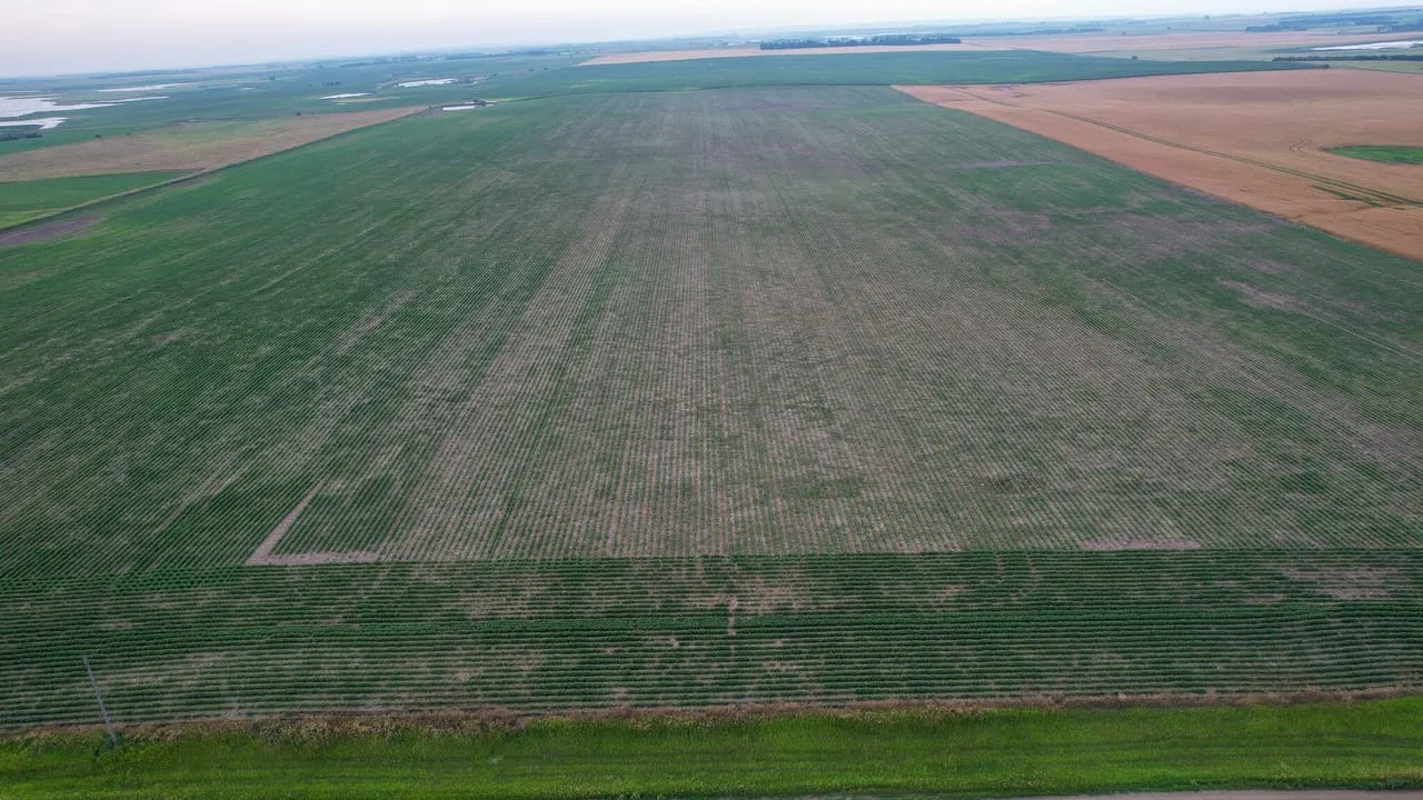 Charles Mix Farmland Hunting Land for Sale