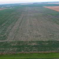 Charles Mix Farmland images 4