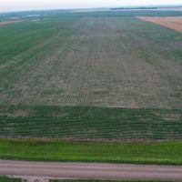 Charles Mix Farmland images 5