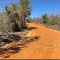 255 Acres in Attala County in Kosciusko MS images 2