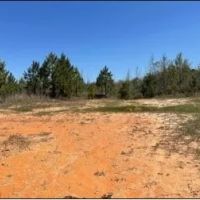 255 Acres in Attala County in Kosciusko MS images 3