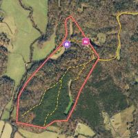 134.75 Acres of Prime Hunting Land For Sale in Patrick County VA